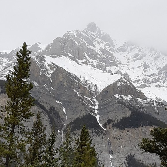 Meet your Posher, TL - Picture 3 of 14